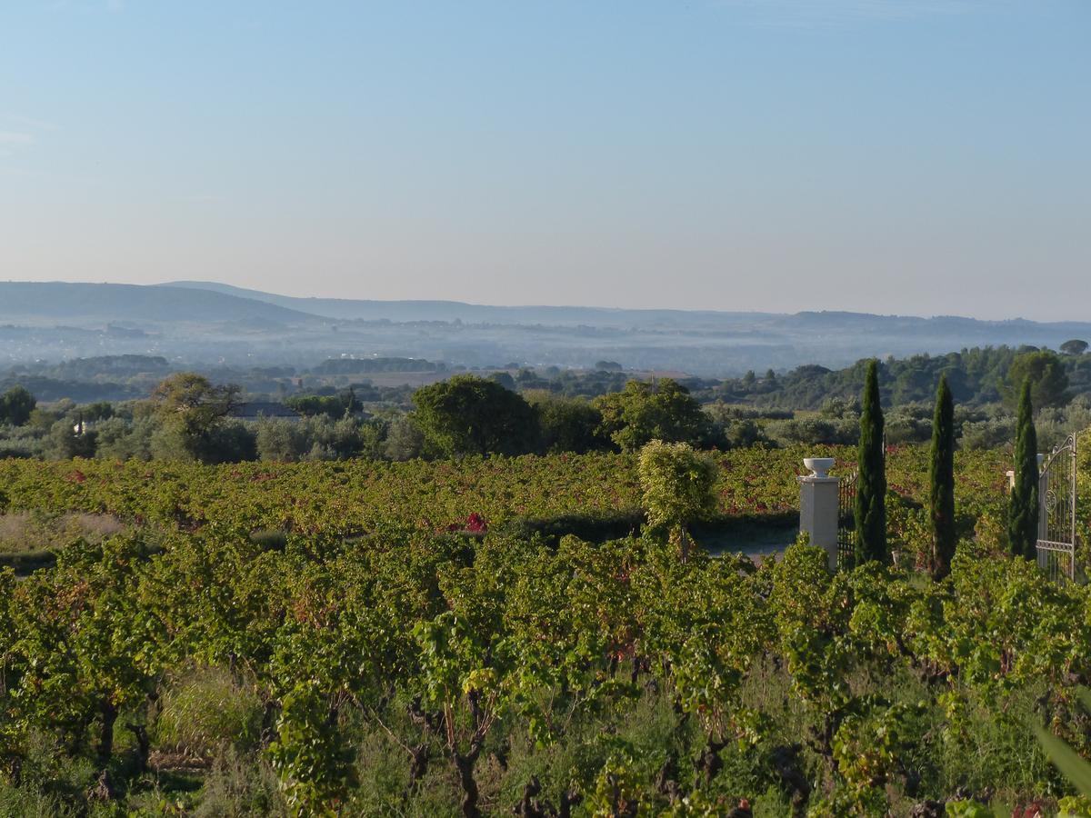 Chateau De Valloubiere-Gite Saint-Jean-de-Fos Εξωτερικό φωτογραφία